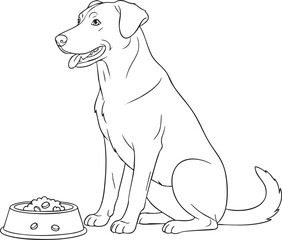 Fototapeta premium Web