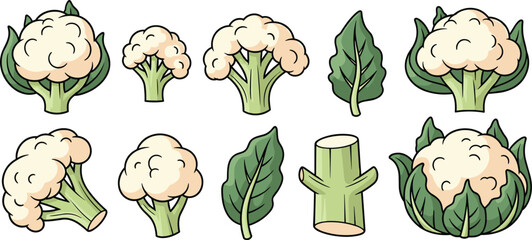 Cartoon cauliflower and spinach, vegetable illustration set, healthy food design, leafy greens artwork, child-friendly vector, nutrition theme, cooking ingredient, plant-based diet graphic