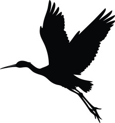 Silhouette of a graceful bird in flight against a white background