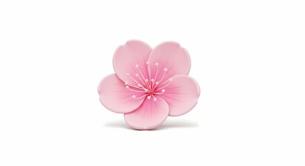 Fototapeta premium A single beautiful pink cherry blossom flower, a delicate Japanese sakura symbol, isolated on a clean white background vector illustration