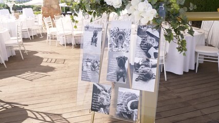 A beautiful outdoor space is decorated for a special event, featuring charming pet-themed displays on elegant panels. The setting includes flowers and stylish chairs, creating a warm atmosphere.