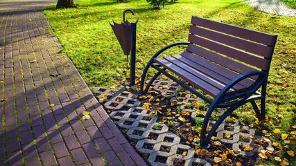 An empty wooden bench with a black metal frame stands in a park or garden on a sunny autumn day. Fallen yellow leaves, a cobblestone path, and grass are visible around it. 