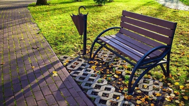 An empty wooden bench with a black metal frame stands in a park or garden on a sunny autumn day. Fallen yellow leaves, a cobblestone path, and grass are visible around it.
