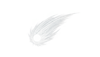 Abstract Light White Feathered Wing on White Background