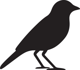Standing Sparrow Silhouettes, Bird Black Silhouette Shapes Vector Illustration on Transparent Background