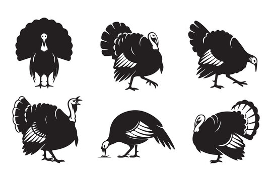 Thanksgiving Turkey shape set collection pack black icon silhouette vector flat illustration design on white background