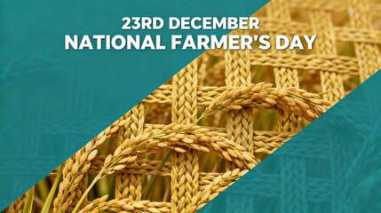 Rice ears and weaving textures, agricultural techniques, grain value and traditional inheritance on Farmers' Day, agricultural culture exhibitions, and promotion of agricultural product craftsmanship.