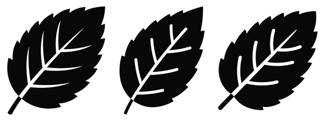 mint leaf minimal flat icon set, black color and white background © SreeAtul