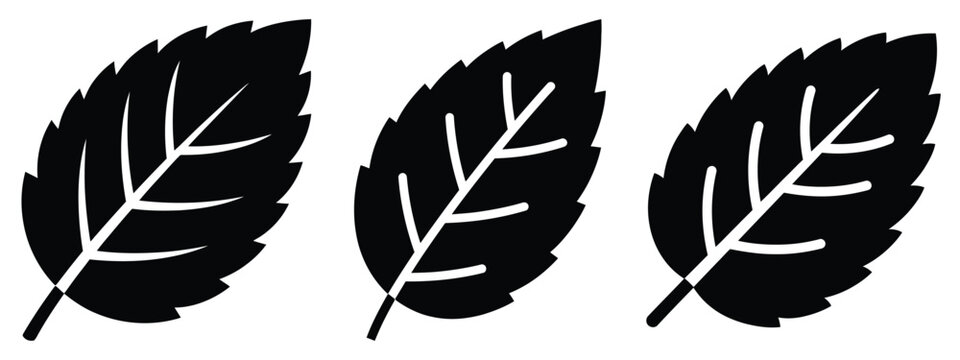 mint leaf minimal flat icon set, black color and white background