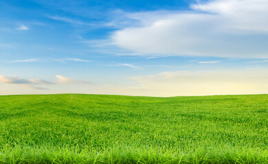 Fototapeta premium Vibrant Meadow under Azure Skies: A breathtaking view of rolling green hills stretches beneath a bright blue sky dotted with fluffy clouds, creating a sense of peace and natural beauty.