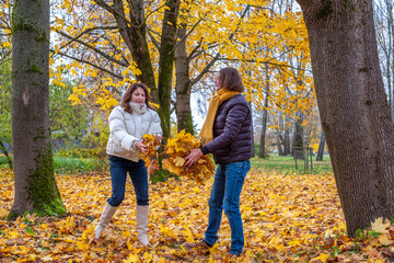 Midlife couple enjoying autumn day in park, gathering colorful leaves, surrounded by vibrant fall foliage, creating joyful memories together in nature