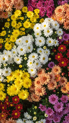 Beautiful seamless floral pattern of yellow daisies and colorful spring flowers blooming from above