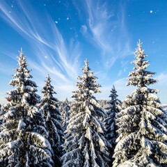 Snowy fir trees stand tall, their branches laden with fresh snow, under a vibrant blue sky dotted with delicate wisps of clouds