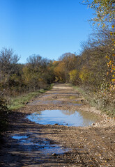 Autumn in the countryside, the morning sun warming the ground that had cooled during the night