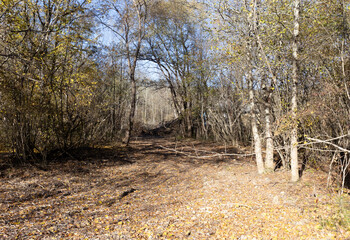 Autumn in the countryside, the morning sun warming the ground that had cooled during the night