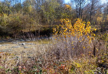 Autumn in the countryside, the morning sun warming the ground that had cooled during the night