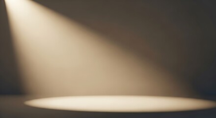 Spotlight shining on an empty stage, ready for performance or presentation