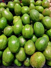 fresh green avocados