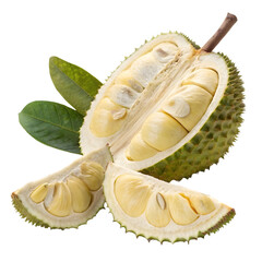 Fototapeta premium Fresh durian fruit slices isolated on transparent background