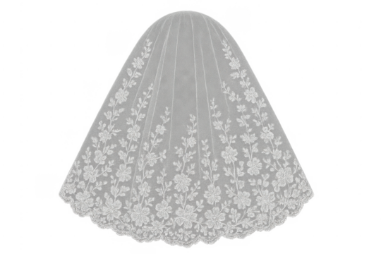 White bridal veil with delicate floral lace embroidery
