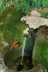 Water continuously flowing from a crevice into an aged, moss-covered stone basin, surrounded by green foliage and fallen autumn leaves