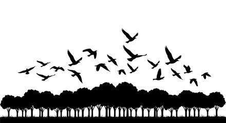 Flock of birds flying over a forest silhouette vector illustration isolated on white background