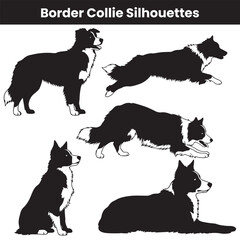 Border Collie Silhouettes