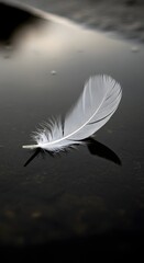 A delicate white feather resting on a smooth, dark surface with a soft reflection and subtle lighting creating a peaceful and minimalist scene