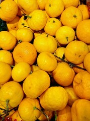 fresh oranges