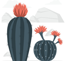 Two desert cacti with vibrant orange flowers blooming cactus plant