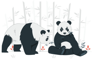 Two pandas eating bamboo in a bamboo forest bear animal