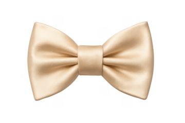 Gold satin bow tie accessory for formal wear