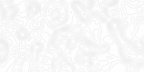 Minimal white line geometric grid outline curve counter map and wavy topography relief discovery area white, black line texture background.	
