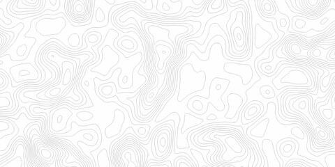 Minimal white line geometric grid outline curve counter map and wavy topography relief discovery area white, black line texture background.	

