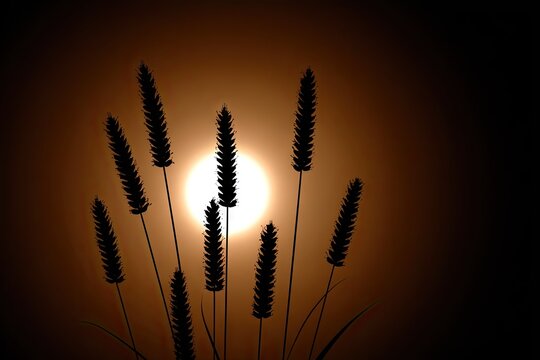 Grass stalks silhouetted against a bright, hazy sun - Powered by Adobe