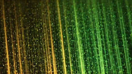 Glittering gold and green bokeh light streaks moving - Powered by Adobe