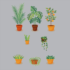 Assorted potted plants including a palm monstera citrus cactus and hanging vine creating a fresh botanical indoor garden collection perfect for adding a touch of nature to any space