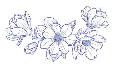 Elegant blue line art of blooming magnolia flowers and buds on a white background blossom floral
