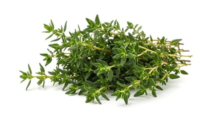 Bunch of fresh thyme herb isolated on white background