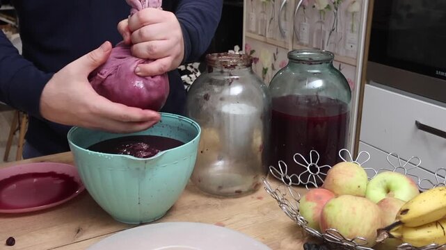 A man strains fermented grapes, squeezing the fermented mash through cheesecloth to make homemade wine.