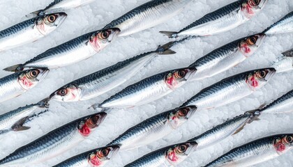 Obraz premium Fresh Mackerel Fish on Ice