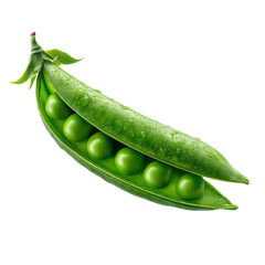 Fresh green pea pod with droplets of water showcasing vibrant peas inside.
