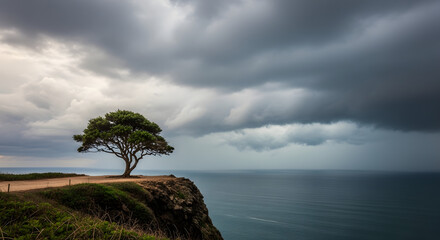 Cool wallpaper Lone tree on a cliff overlooking the ocean dramatic stormy sky symbolizing resilience and the power of nature