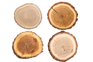 Four tree trunk slices showcase natural wood grain patterns and textures ideal for rustic decor woodworking projects or educational resources about tree rings and forest ecology on transparent backgro