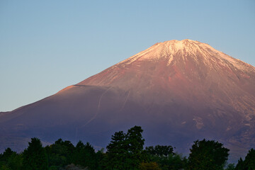 朝日を浴びる富士山