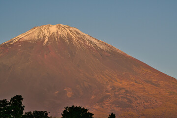 朝日を浴びる富士山