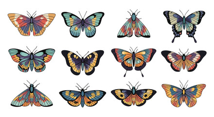 Beautiful collection of twelve stylized butterflies and moths, each with unique and colorful wings featuring intricate patterns.