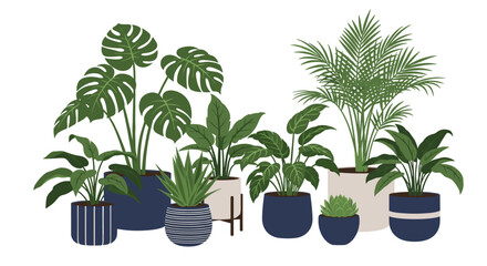 Obraz premium Stylish collection of various green indoor plants like monstera and palm trees in modern decorative blue and white ceramic pots.