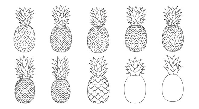 Set of ten pineapple fruit illustrations showing the progression from a detailed drawing to a simple black and white outline form.