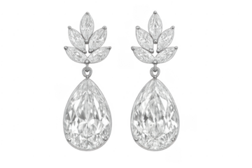 Elegant diamond earrings showing sparkling gemstones